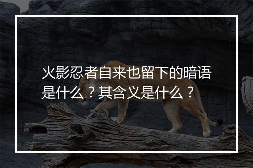 火影忍者自来也留下的暗语是什么？其含义是什么？