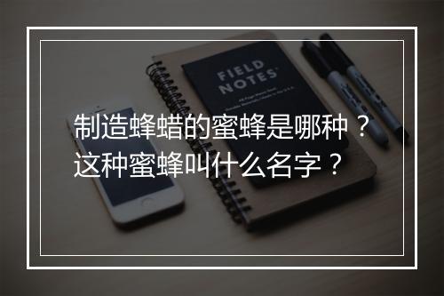 制造蜂蜡的蜜蜂是哪种?这种蜜蜂叫什么名字?