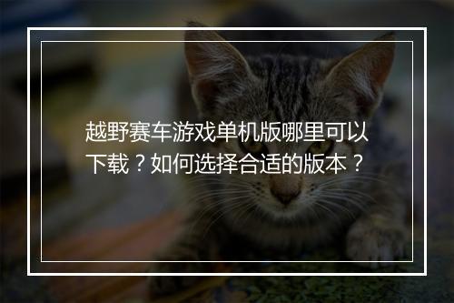 越野赛车游戏单机版哪里可以下载?如何选择合适的版本?
