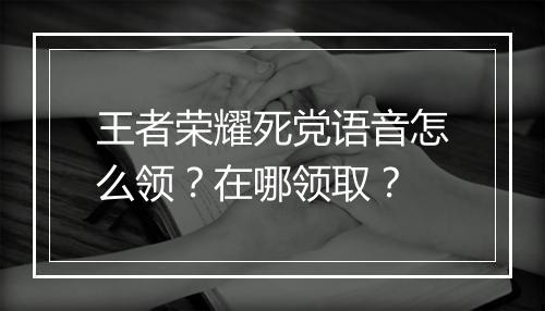 王者荣耀死党语音怎么领？在哪领取？