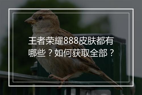 王者荣耀888皮肤都有哪些？如何获取全部？