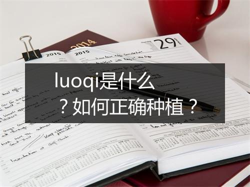 luoqi是什么?如何正确种植?