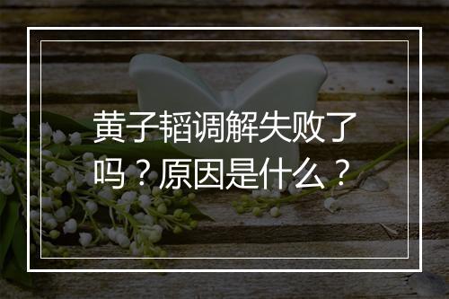 黄子韬调解失败了吗?原因是什么?