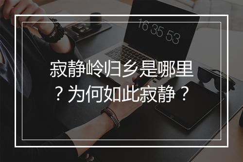寂静岭归乡是哪里?为何如此寂静?