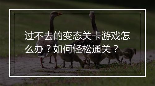 过不去的变态关卡游戏怎么办？如何轻松通关？