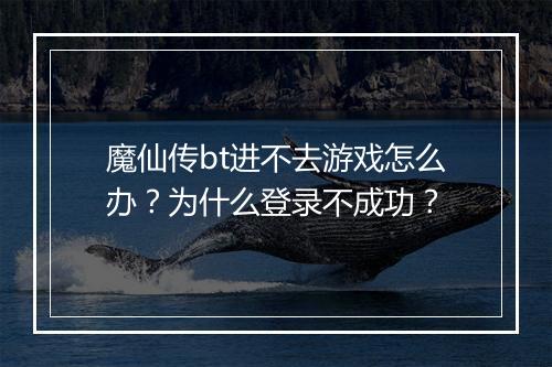 魔仙传bt进不去游戏怎么办?为什么登录不成功?