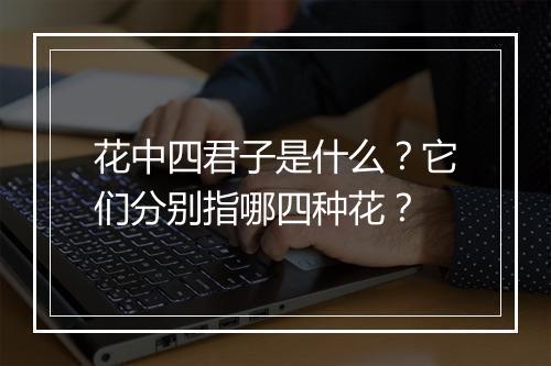 花中四君子是什么?它们分别指哪四种花?