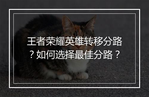 王者荣耀英雄转移分路？如何选择最佳分路？
