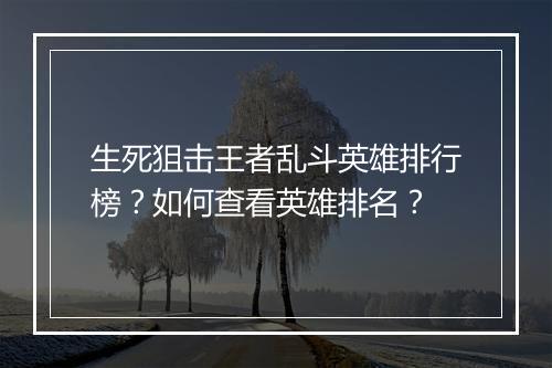 生死狙击王者乱斗英雄排行榜？如何查看英雄排名？