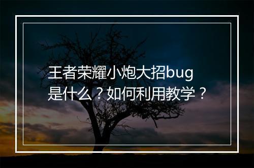 王者荣耀小炮大招bug是什么？如何利用教学？