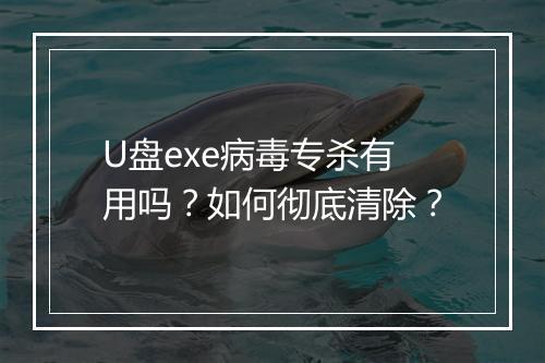 U盘exe病毒专杀有用吗?如何彻底清除?