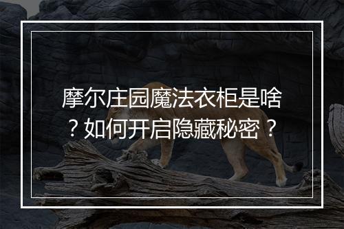 摩尔庄园魔法衣柜是啥?如何开启隐藏秘密?