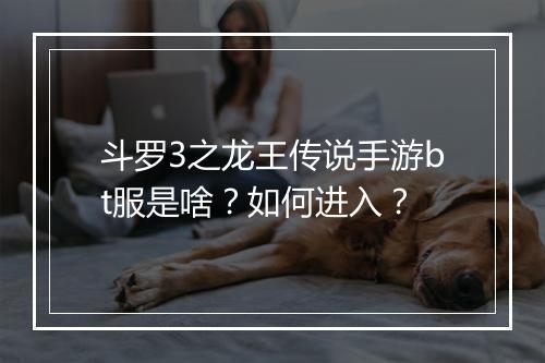 斗罗3之龙王传说手游bt服是啥?如何进入?
