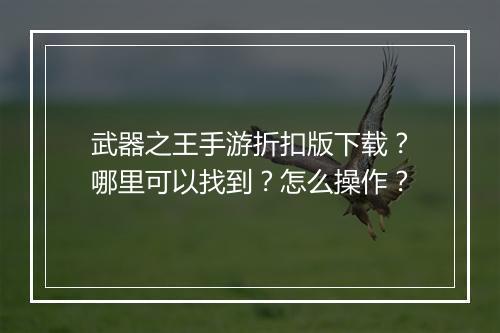 武器之王手游折扣版下载？哪里可以找到？怎么操作？