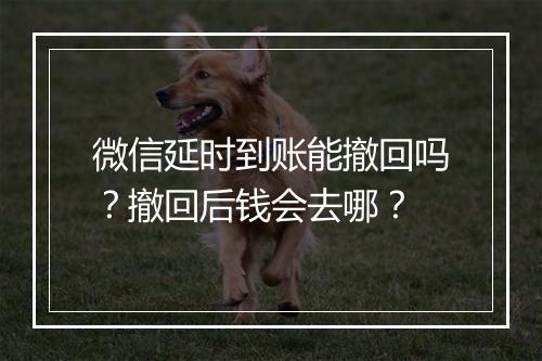 微信延时到账能撤回吗？撤回后钱会去哪？