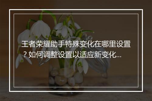 王者荣耀助手特殊变化在哪里设置？如何调整设置以适应新变化？