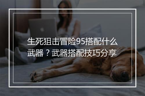 生死狙击冒险95搭配什么武器？武器搭配技巧分享