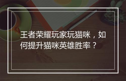 王者荣耀玩家玩猫咪，如何提升猫咪英雄胜率？