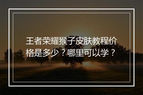 王者荣耀猴子皮肤教程价格是多少？哪里可以学？