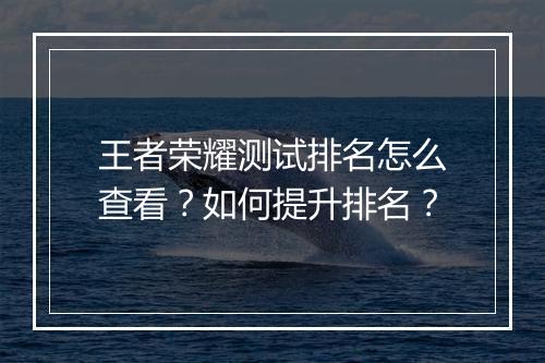 王者荣耀测试排名怎么查看？如何提升排名？