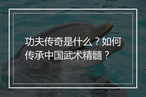 功夫传奇是什么?如何传承中国武术精髓?