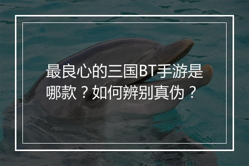 最良心的三国BT手游是哪款?如何辨别真伪?