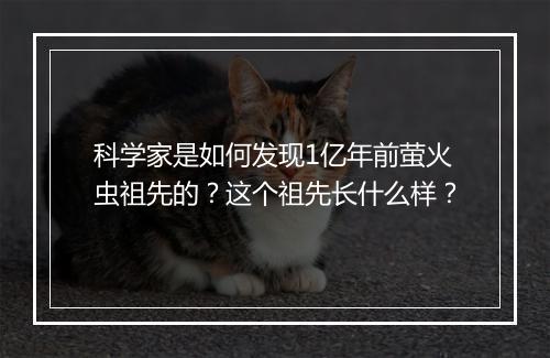 科学家是如何发现1亿年前萤火虫祖先的？这个祖先长什么样？