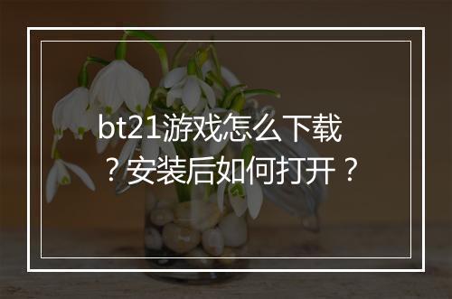 bt21游戏怎么下载？安装后如何打开？