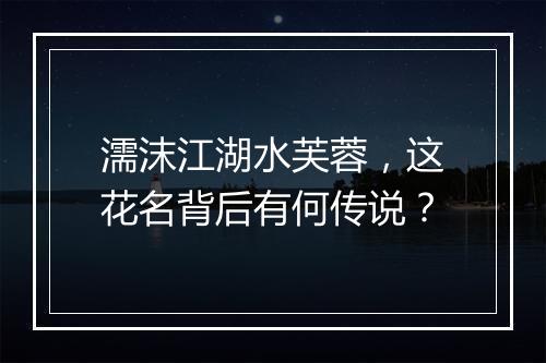 濡沫江湖水芙蓉,这花名背后有何传说?