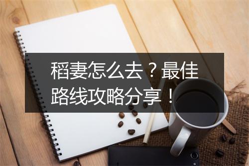 稻妻怎么去?最佳路线攻略分享!