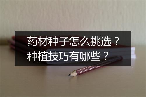 药材种子怎么挑选?种植技巧有哪些?