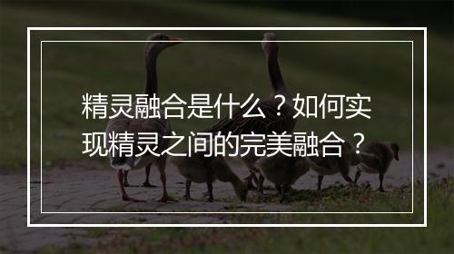 精灵融合是什么?如何实现精灵之间的完美融合?