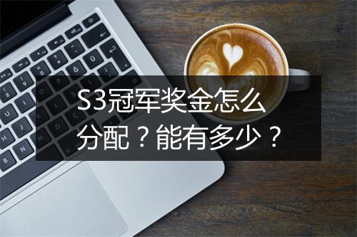 S3冠军奖金怎么分配?能有多少?