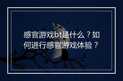 感官游戏bt是什么?如何进行感官游戏体验?