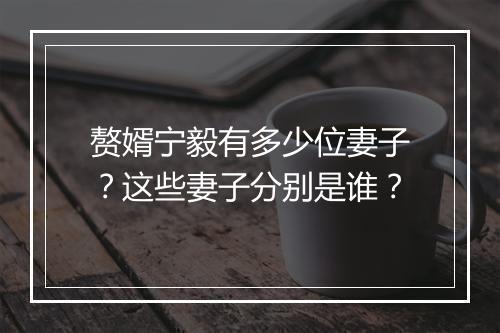 赘婿宁毅有多少位妻子?这些妻子分别是谁?