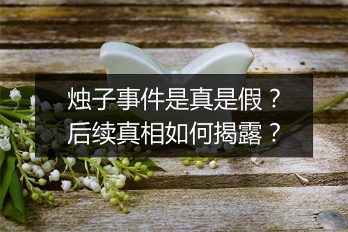 烛子事件是真是假?后续真相如何揭露?