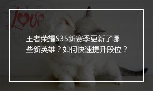 王者荣耀S35新赛季更新了哪些新英雄?如何快速提升段位?