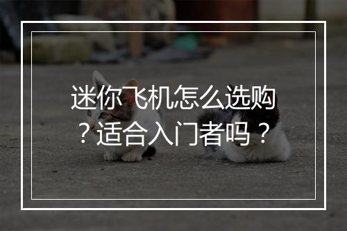 迷你飞机怎么选购？适合入门者吗？