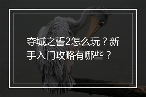 夺城之誓2怎么玩?新手入门攻略有哪些?