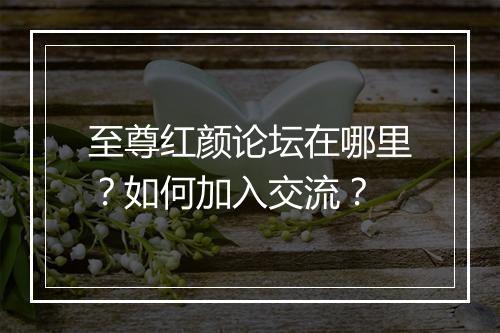 至尊红颜论坛在哪里？如何加入交流？