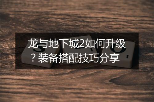 龙与地下城2如何升级?装备搭配技巧分享
