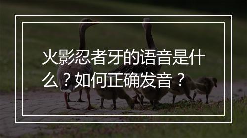 火影忍者牙的语音是什么？如何正确发音？