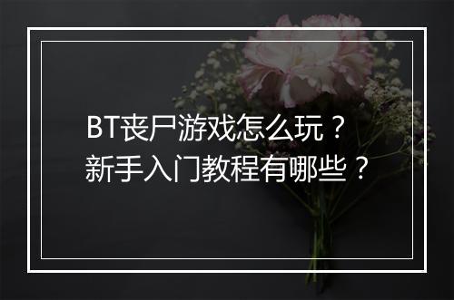 BT丧尸游戏怎么玩？新手入门教程有哪些？