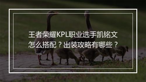 王者荣耀KPL职业选手凯铭文怎么搭配？出装攻略有哪些？
