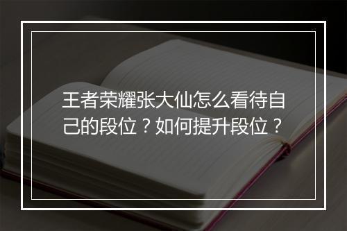 王者荣耀张大仙怎么看待自己的段位？如何提升段位？