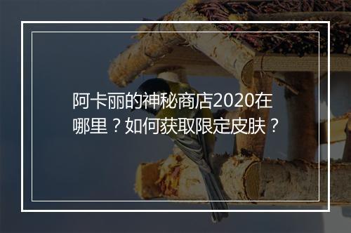 阿卡丽的神秘商店2020在哪里?如何获取限定皮肤?