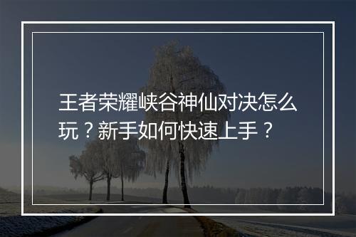 王者荣耀峡谷神仙对决怎么玩？新手如何快速上手？