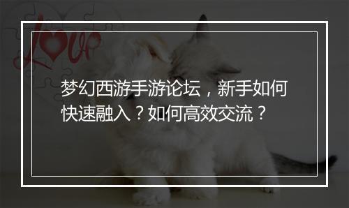 梦幻西游手游论坛,新手如何快速融入?如何高效交流?
