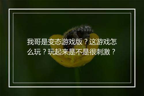 我哥是变态游戏版？这游戏怎么玩？玩起来是不是很刺激？