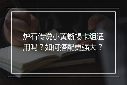 炉石传说小黄蜥蜴卡组适用吗？如何搭配更强大？